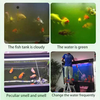 Aquarium Purifying Tablets – Safe for All Fish | 1 to 4 tab per 10L